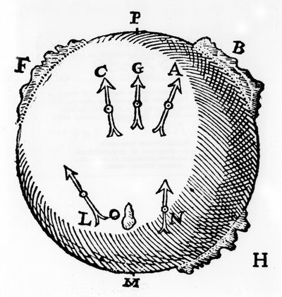 A terrella or globe-shaped magnet with lumps of iron to represent mountains and showing the north-seeking property of a magnetic needle. From William Gilbert De Magnete, London, 1600 by William Gilbert